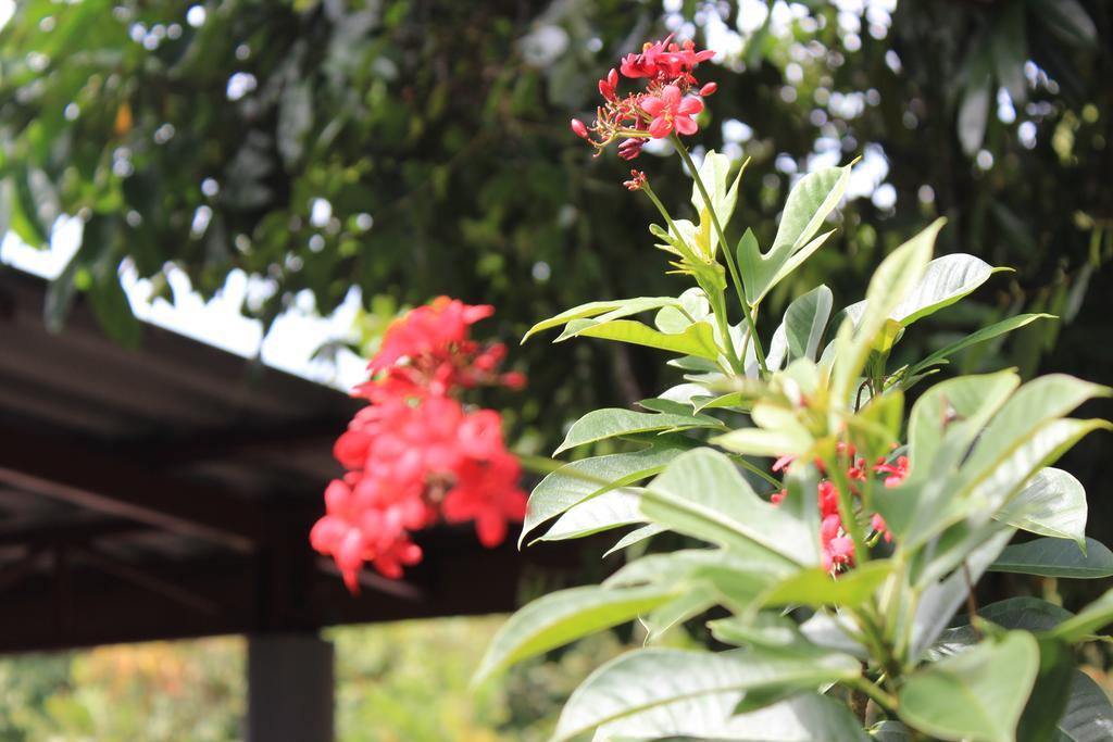Lanta Happy Hill Hotel Ko Lanta Kültér fotó